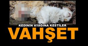 AKIL ALMAZ VAHŞET...