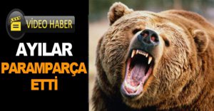 AYILAR PARAMPARÇA ETTİ