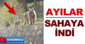 AYILAR SAHAYA İNDİ