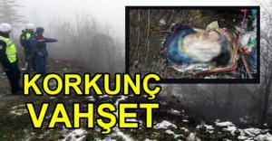 BAŞINI BALTA İLE KESMİŞLER