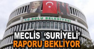 MECLİS 'SURİYELİ' RAPORU BEKLİYOR