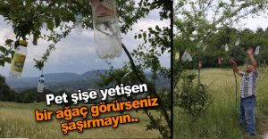 BİR GARİP FARKINDALIK ÇALIŞMASI