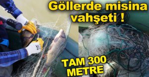 BOLU'DA DOĞA KATLİAMI