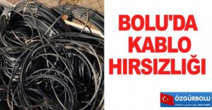 BOLU'DA KABLO HIRSIZLIĞI