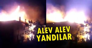 ALEV ALEV YANDILAR...