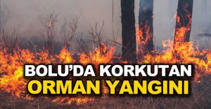 BOLU'DA KORKUTAN YANGIN