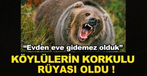 BOLU'DA KÖYLÜLERİN KORKULU RÜYASI