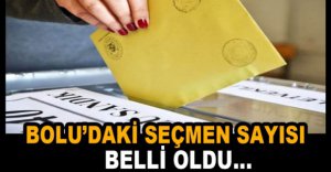BOLU'DA SEÇMEN VE SANDIK SAYISI BELLİ OLDU