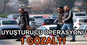 BOLU'DA UYUŞTURUCU OPERASYONU