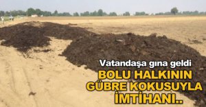 BOLU'NUN GÜBRE KOKUSUYLA İMTİHANI