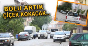 BOLU'NUN HAVASI DEĞİŞİYOR..