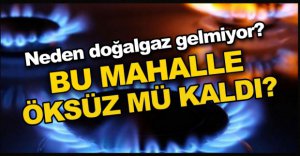 BU MAHALLE ÖKSÜZ MÜ KALDI?