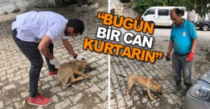 "BUGÜN BİR CAN KURTARIN"