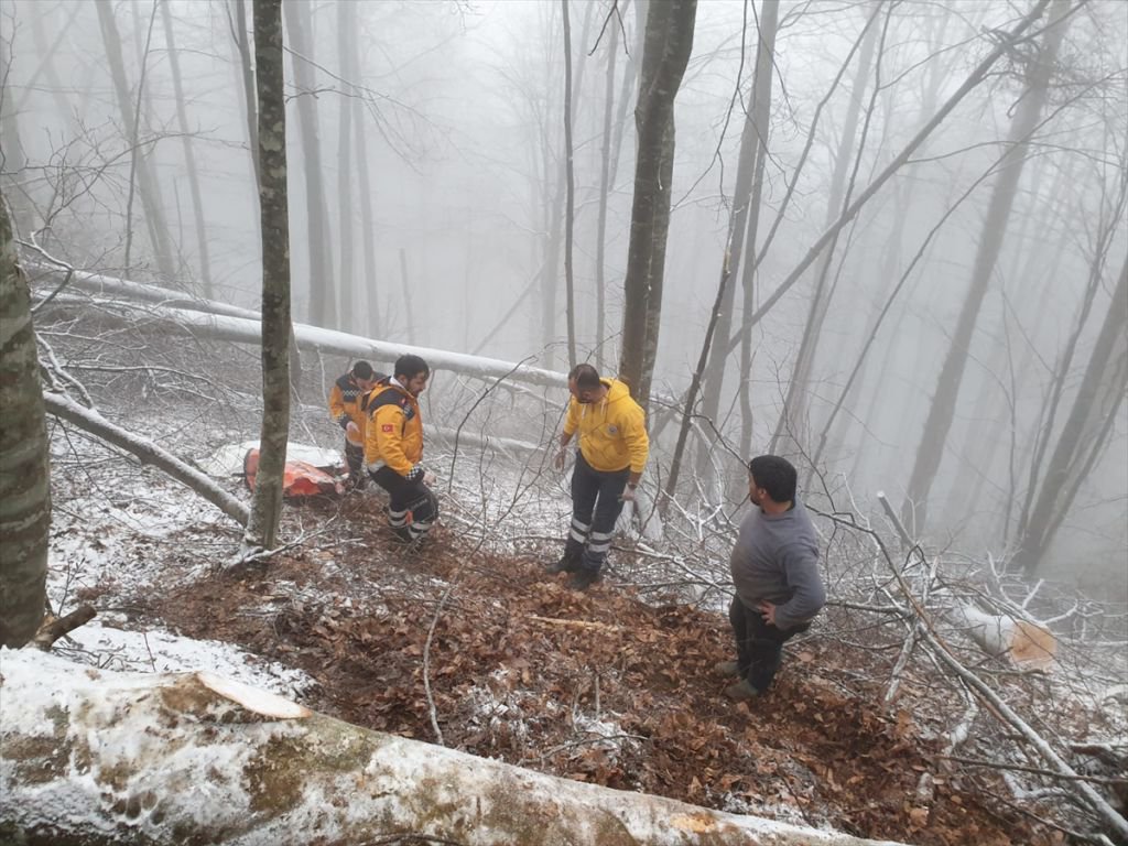 AĞACIN ALTINDA KALARAK CAN VERDİ