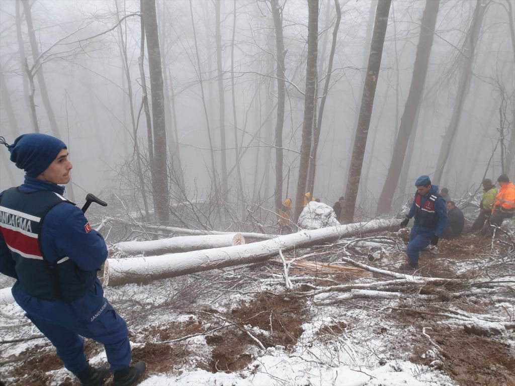 AĞACIN ALTINDA KALARAK CAN VERDİ