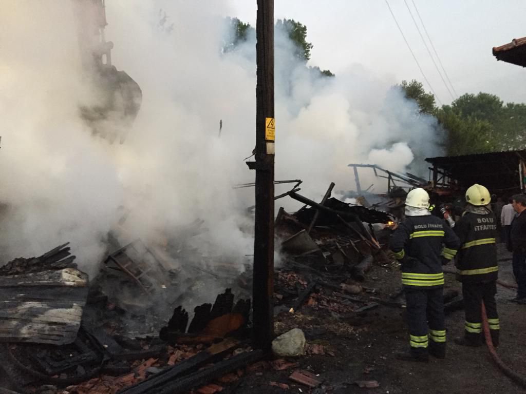 ALEVLER KÖYÜ YOK EDİYORDU