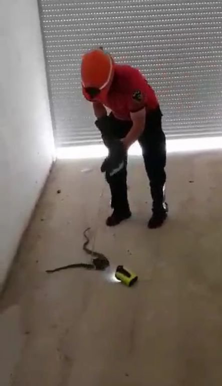 APARTMANIN GARAJINDAN YILAN ÇIKTI