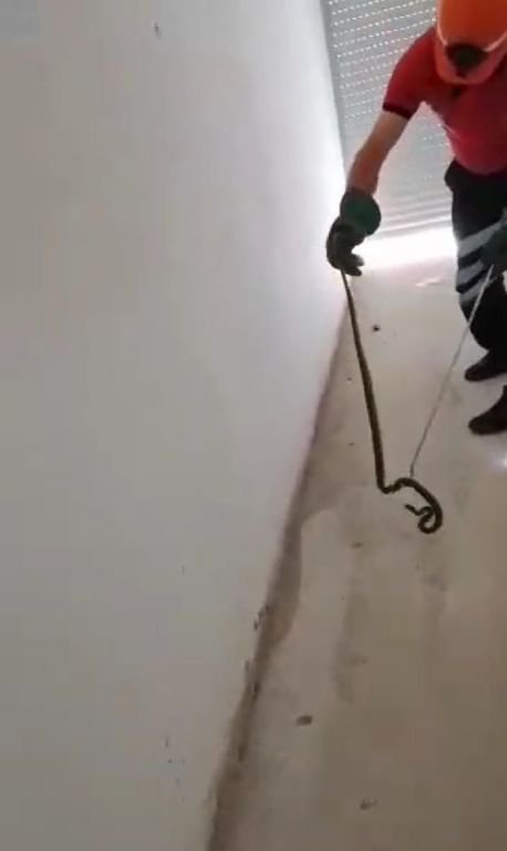 APARTMANIN GARAJINDAN YILAN ÇIKTI