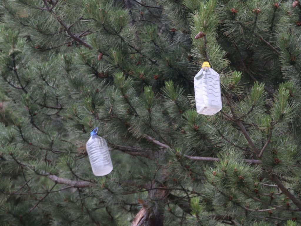 BİR GARİP FARKINDALIK ÇALIŞMASI