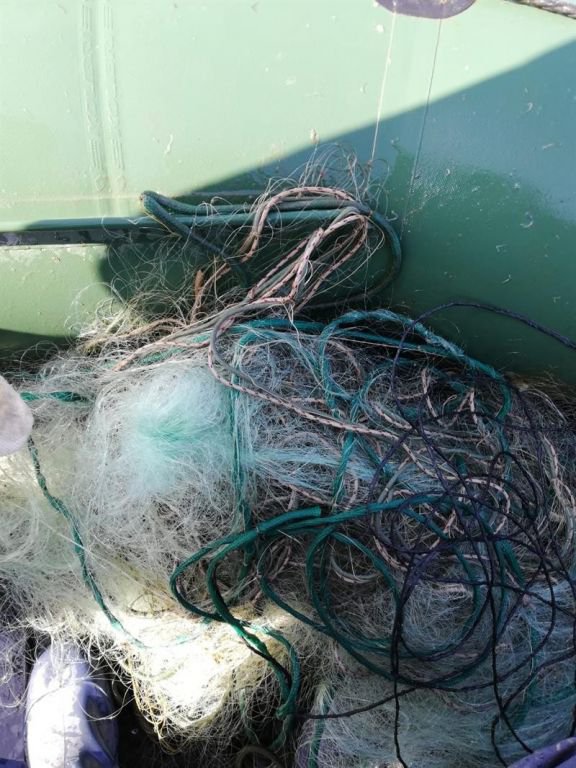 BOLU'DA DOĞA KATLİAMI