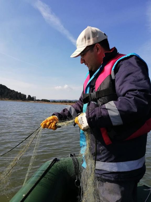 BOLU'DA DOĞA KATLİAMI