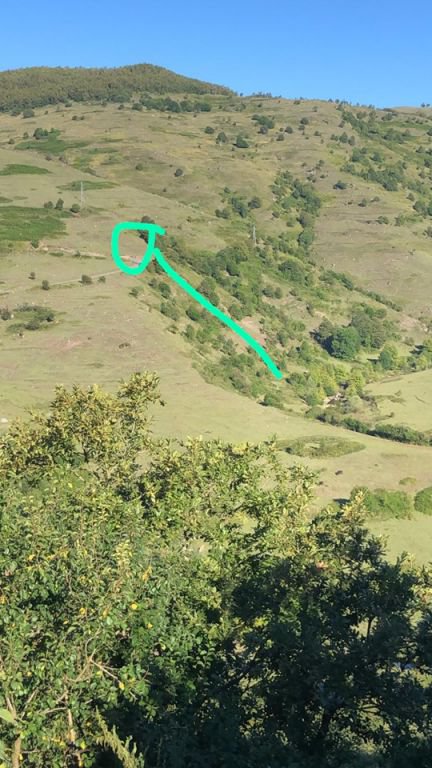 BOLULU 2 GENÇ FECİ ŞEKİLDE CAN VERDİ