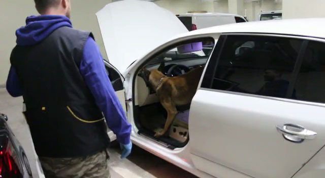 UYUŞTURUCU TAŞIYAN POLİS YAKALANDI