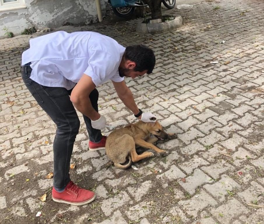 "BUGÜN BİR CAN KURTARIN"