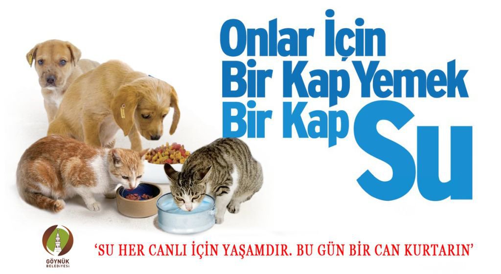 "BUGÜN BİR CAN KURTARIN"