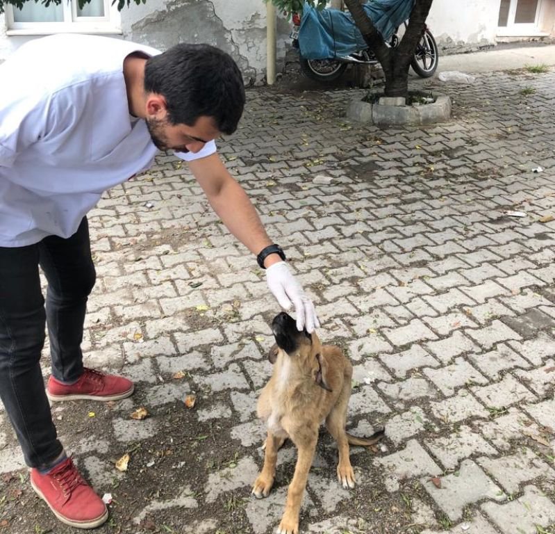 "BUGÜN BİR CAN KURTARIN"