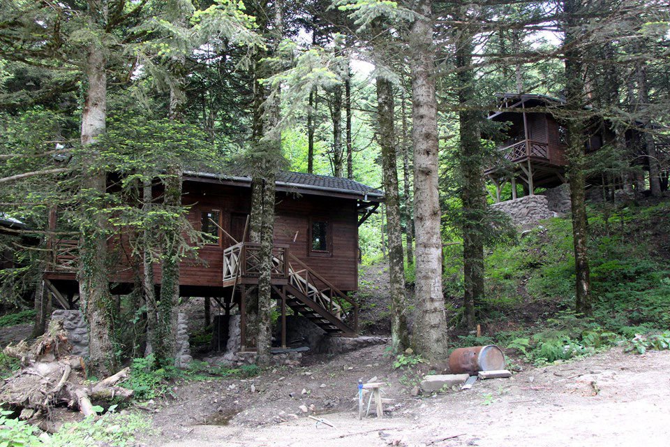 BUNGALOVLARIN AKIBETİ BELLİ OLDU