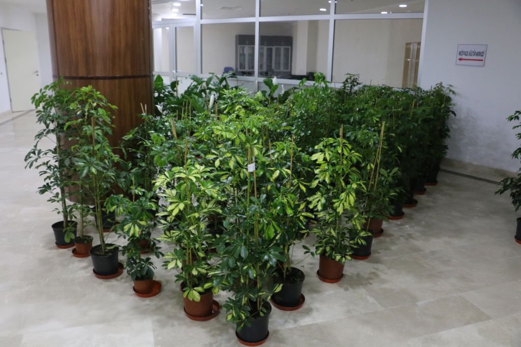 ÇİÇEKLERLER ENGELLİLER İÇİN SATILIYOR