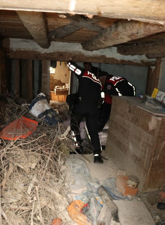 MİNİK KEDİ DEFİNECİLERİ İFŞA ETTİ