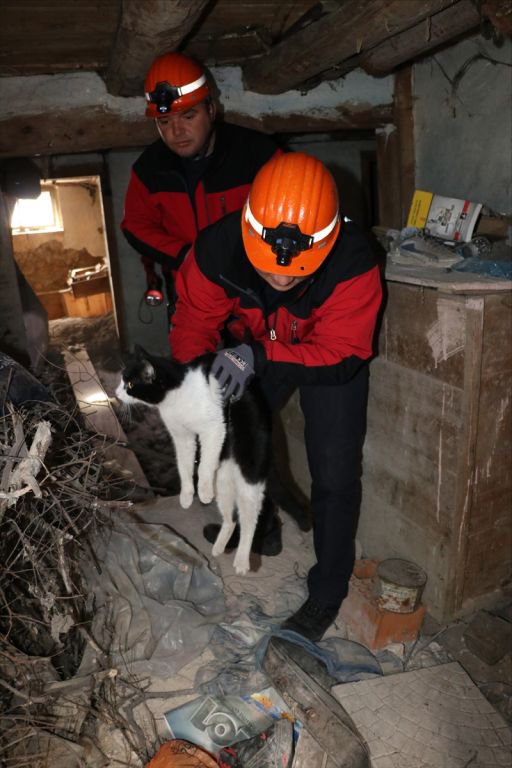 MİNİK KEDİ DEFİNECİLERİ İFŞA ETTİ