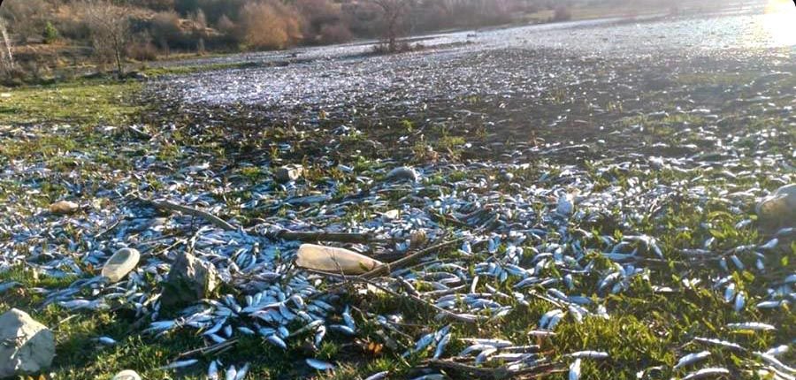 DOĞA KATİLLERİ CEZASIZ KALMADI