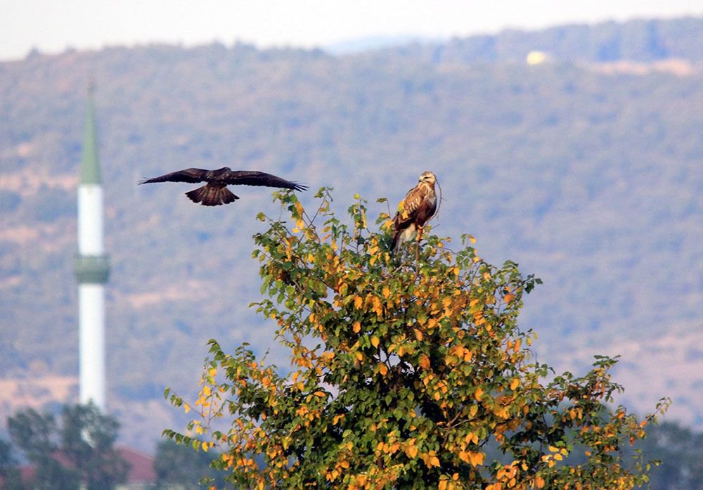 ÖNCEDEN ÖLDÜRÜYORDU, ŞİMDİ ÖLÜMSÜZLEŞTİRİYOR