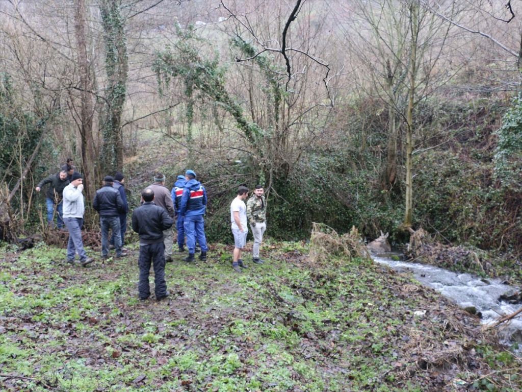 GEYİK DONMAK ÜZEREYKEN BULUNDU
