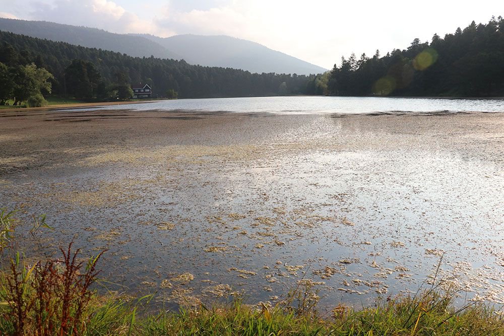 GÖLCÜK TEMİZLENECEK..