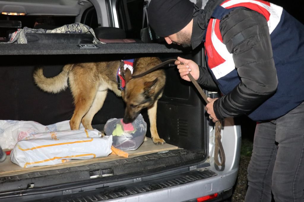GÖLKÖY'DE OLAĞANÜSTÜ HAL!