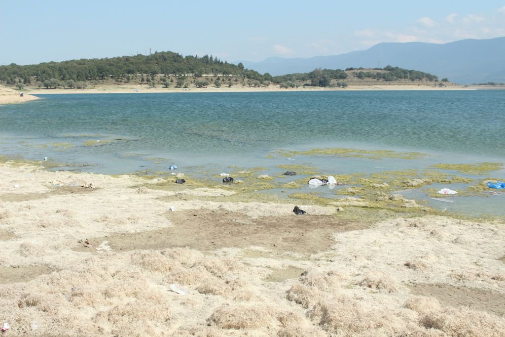 GÖLKÖY'DEKİ KİRLİLİK İSYAN ETTİRDİ