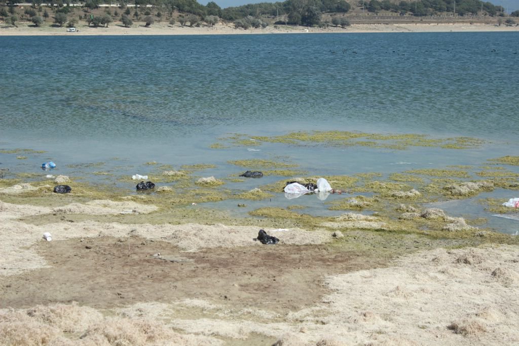 GÖLKÖY'DEKİ KİRLİLİK İSYAN ETTİRDİ