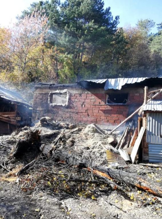 HAYVANLAR YANARAK TELEF OLDU