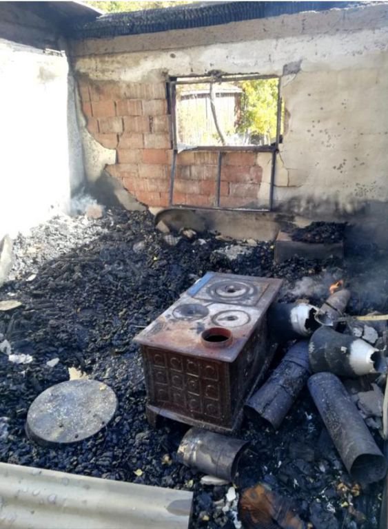 HAYVANLAR YANARAK TELEF OLDU