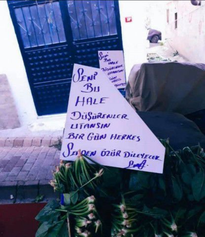 ISPANAĞIN BOYNU BÜKÜK KALDI