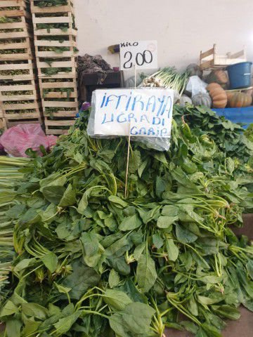 ISPANAĞIN BOYNU BÜKÜK KALDI