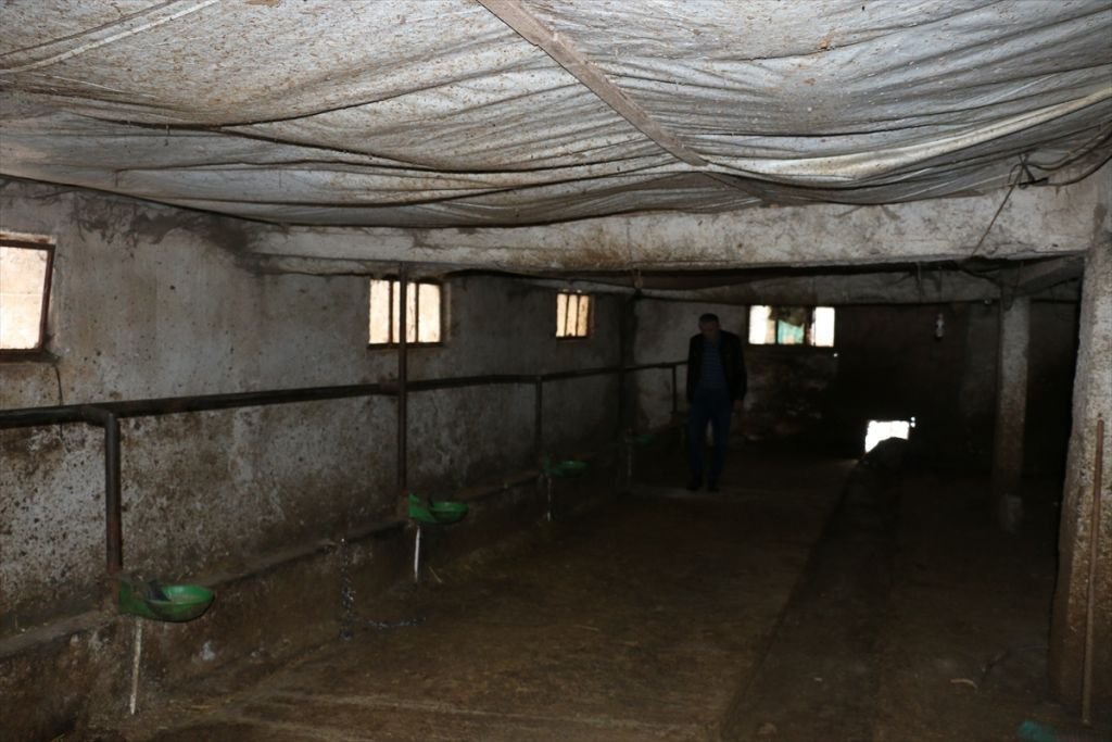 KREDİ BORCU İÇİN HAYVANLARINI SATTI, DOLANDIRILDI