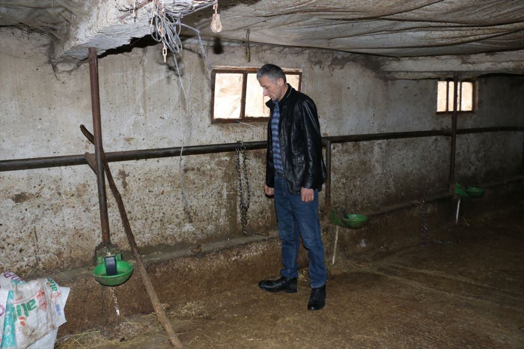 KREDİ BORCU İÇİN HAYVANLARINI SATTI, DOLANDIRILDI