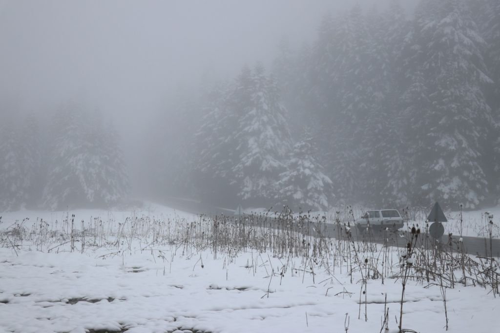 MAYIS AYINDA KAR ETKİLİ OLDU