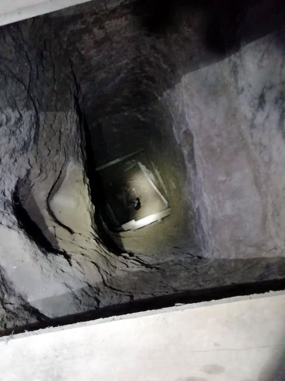 MİNİK KEDİ DEFİNECİLERİ İFŞA ETTİ