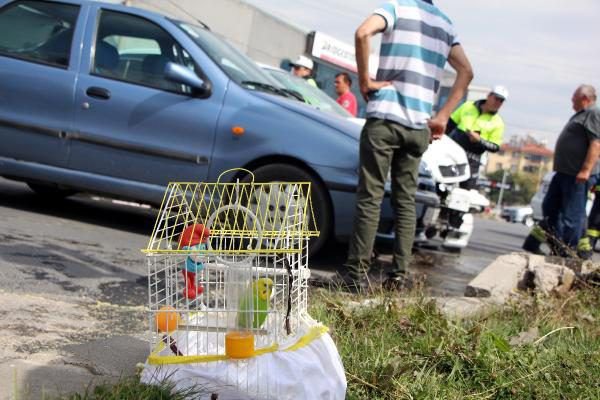 MİNİK KIZ, KAZADA KUŞUNU BIRAKMADI